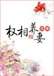 权相养妻日常圆房章节