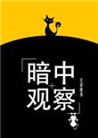 暗中观察完整版