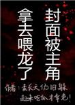 龙骑士的每日训练心得