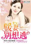 蜜爱暖宠小甜妻全文