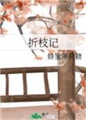 折枝记全文阅读