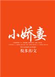 总裁与小娇妻