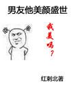 男友他美颜盛世在线阅读