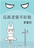 反派老婆不好做无重复完整版