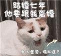 结婚7年他要和我离婚