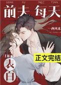 前夫每天都来表白免费完结
