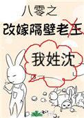 八零之改嫁隔壁老王讲的什么