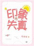 印象失真讲的什么故事