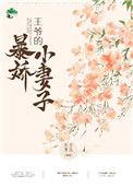 王爷的暴轿小妻子
