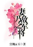 妻乃大将军百度百科