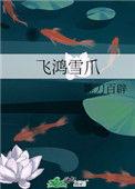 飞鸿雪爪打一最佳数字