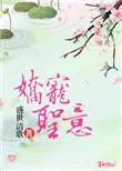 娇宠免费阅读