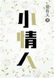 小情人 电视剧