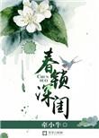 春深锁二乔的锁
