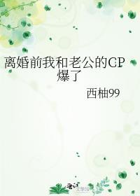 离婚前我和老公的cp爆了番外