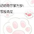 荷尔蒙1