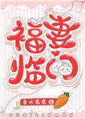 福妻临门讲的什么