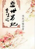 重生之盛世男妃完整版