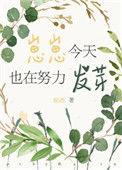 崽崽今天也在找