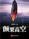 颤栗高空TXT百度
