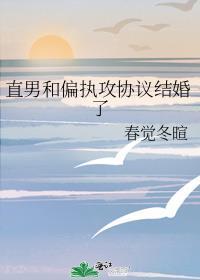 gay和直男的结局