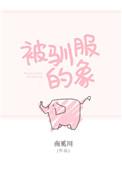 被驯服的象这首歌表达了什么