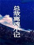 总裁离婚