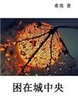 困在城中央免费阅读