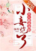 夫人跟老人的小妾跑了