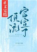 顶流 什么意思