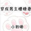 穿成男主糟糠妻后我跑路了讲什么