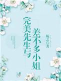 完美先生与差不多小姐电视剧
