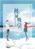 被风吸引txt