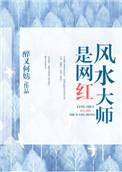 风水大师是网红好看么