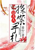 县夫人探案手札TXT百度资源