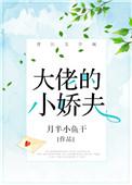 大佬的小娇夫最新