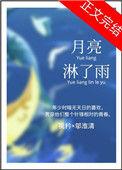 月亮淋了雨 叶淅宝番外