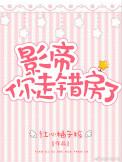 我错了安文宇