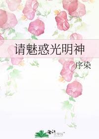请魅惑光明神 作者序染