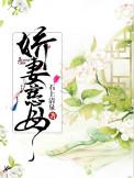娇妻怎么理解