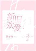 新欢旧爱人什么意思