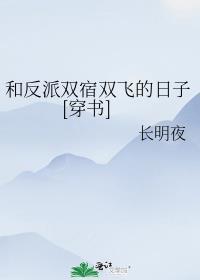 和反派同居的日子非影