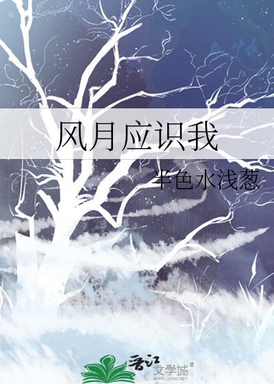 风月怎么理解