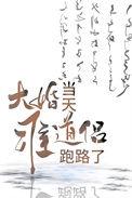 大婚当天准道侣跑路了 豆瓣
