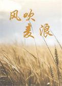 风吹麦浪春晚