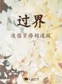 过界电视剧剧情介绍
