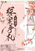 大理寺探案手札百度