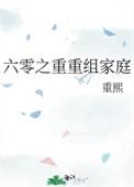 六零之重重组家庭长欣