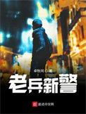 老兵新警听书在线听