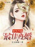 重生之最佳再婚听书